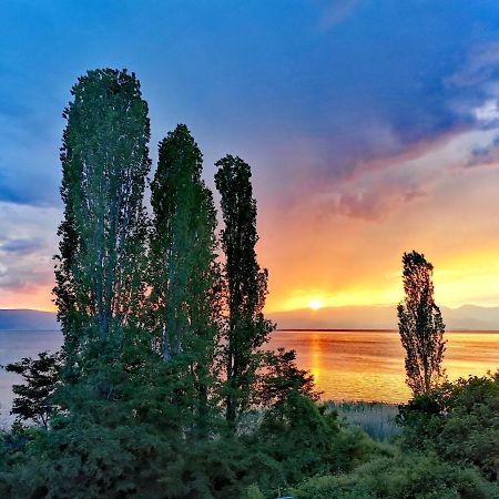 Villa Kalina Ohrid Buitenkant foto
