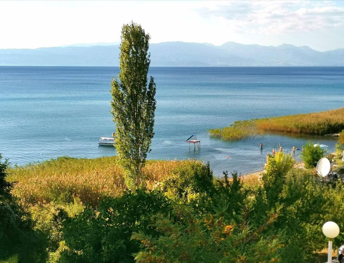 Villa Kalina Ohrid Buitenkant foto