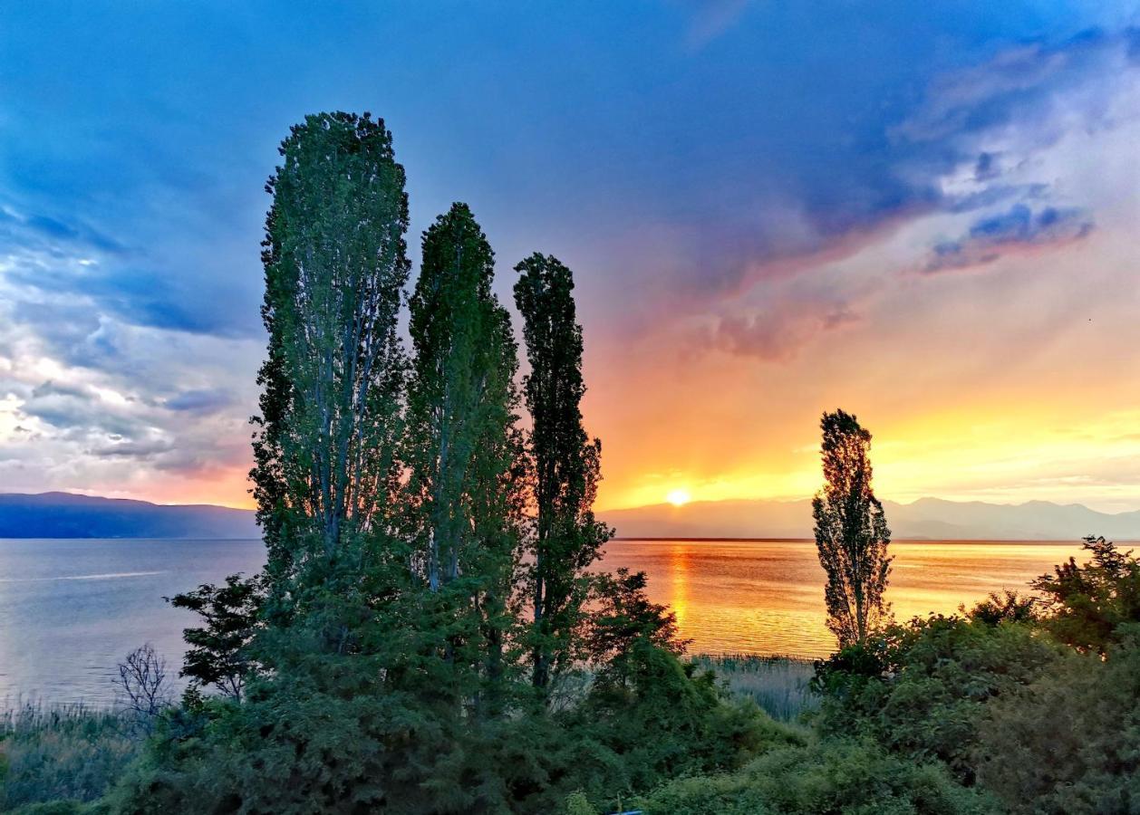 Villa Kalina Ohrid Buitenkant foto